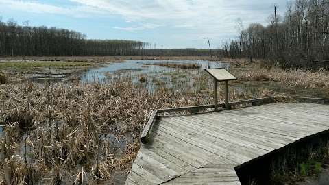 Beach Ridges Trailhead